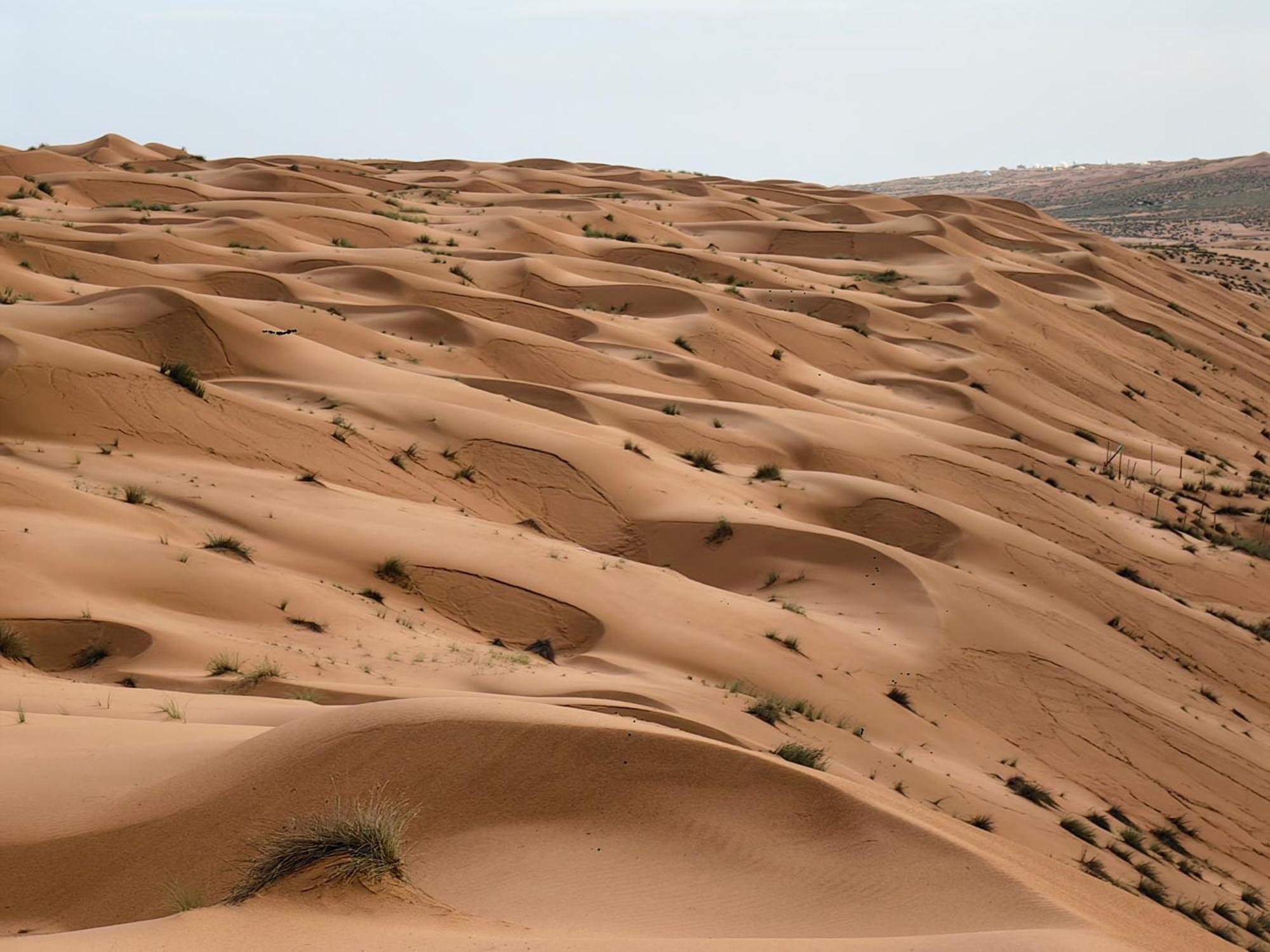 Desert Rose Camp Badīyah Exteriér fotografie